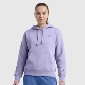 Powerblend Hoodie, Small C Freshman